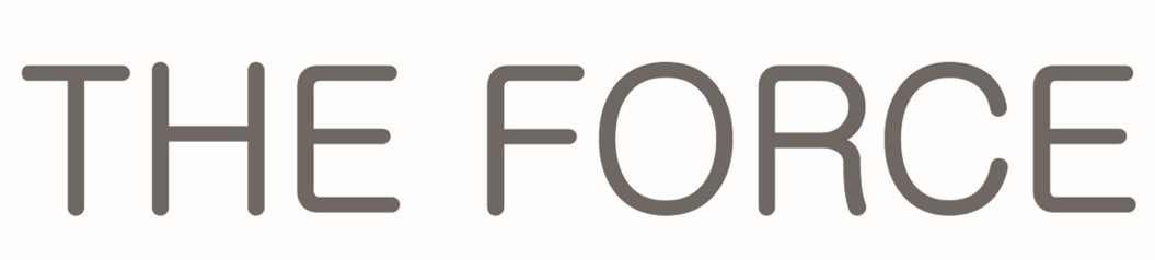 Firmenlogo The Force CT GmbH