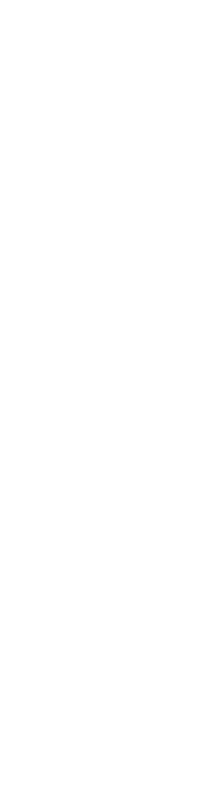 Firmenlogo TransPerfect